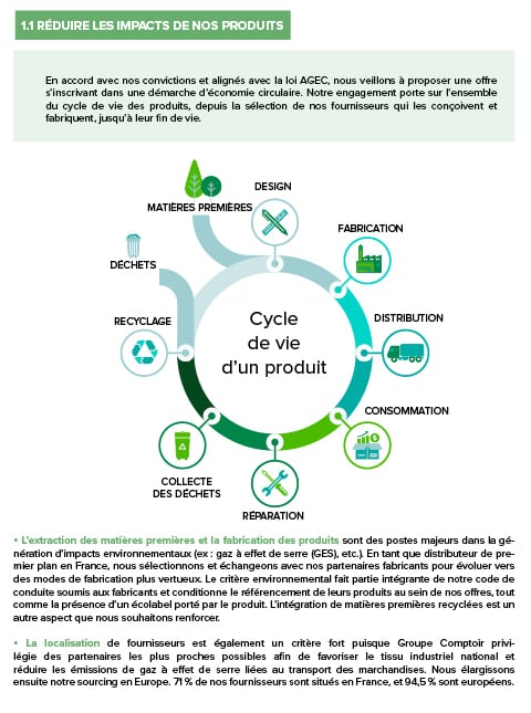 rapport rse- site web2